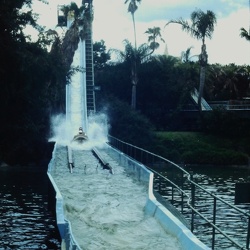 1984 Florida - Set 7